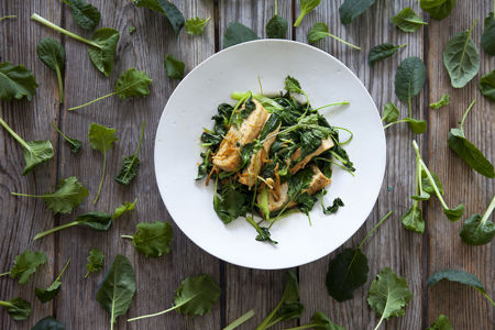 Tofu och wokad pak choi