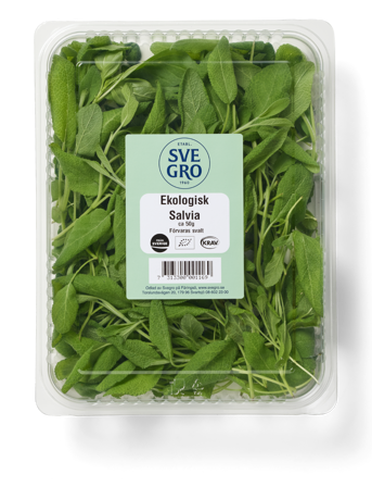 Salvia färsk skuren i förpackning