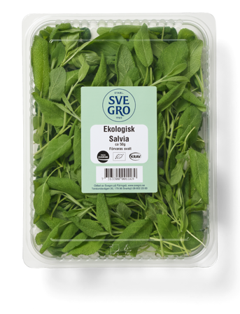 Salvia färsk skuren i förpackning