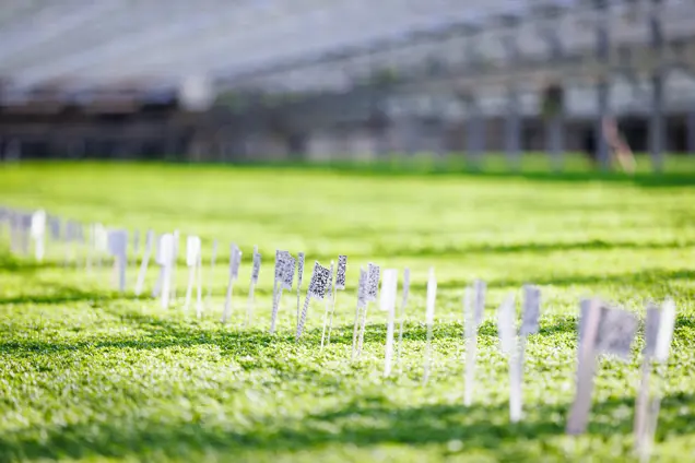 QR-koder på plantorna för AI-övervakning