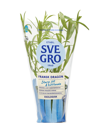 Dragon i kruka från Svegro