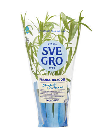 Dragon i kruka från Svegro