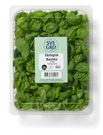 Basilika färsk skuren i förpackning