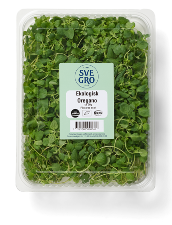 Oregano färsk skuren i förpackning