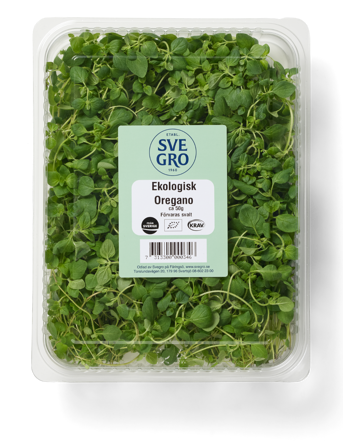 Oregano färsk skuren i förpackning