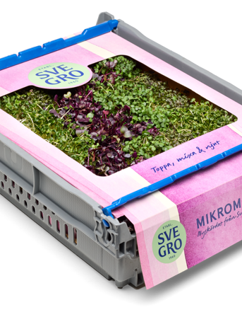 Mikroörter mixade i tråg