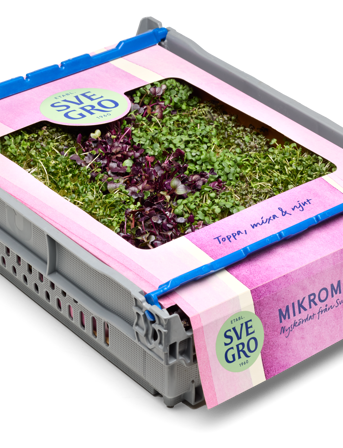 Mikroörter mixade i tråg