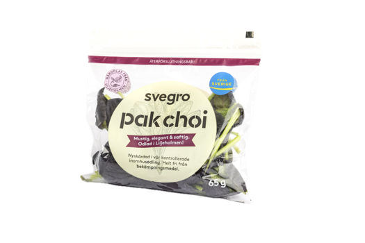 Pak choi från Svegro