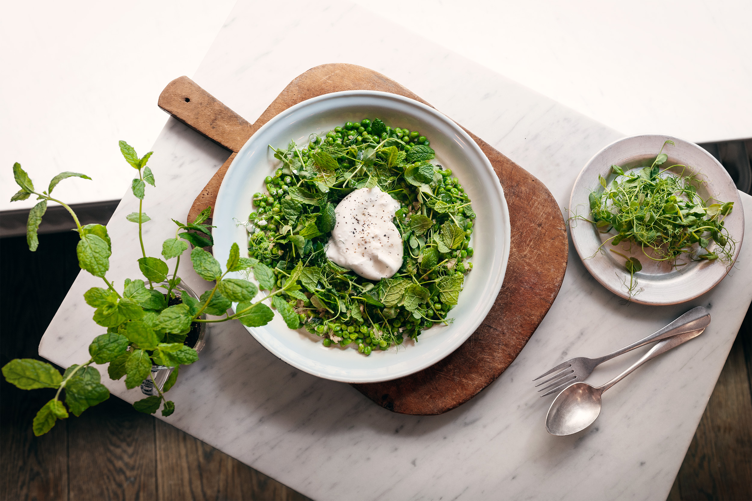 Ärtsallat med mynta och ärtskott
