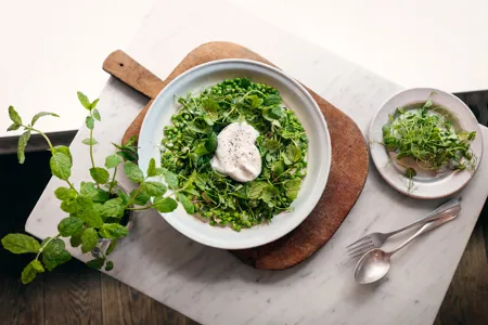 Ärtsallat med mynta och ärtskott