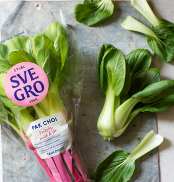 Pak Choi från Svegro