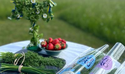 Midsommar med Svegro dill och Svegro gräslök