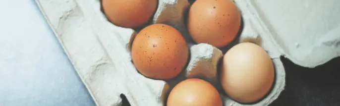 Bruna ägg i kartong