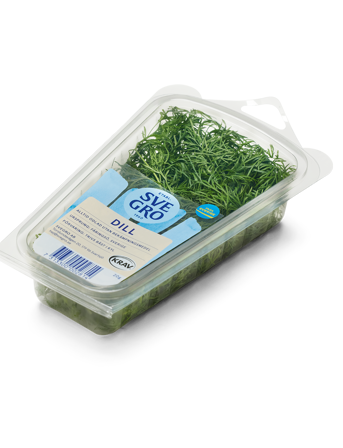 Dill från Svegro i ask