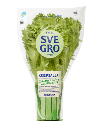 Krispsallat i kruka från Svegro