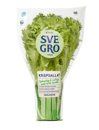 Krispsallat i kruka från Svegro