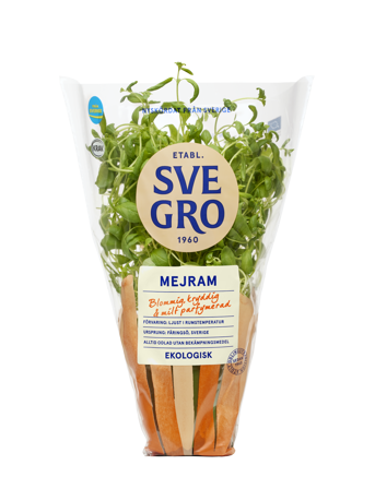 Mejram i kruka från Svegro