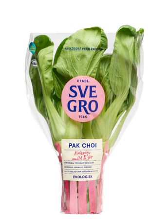 Pak Choi i kruka från Svegro 