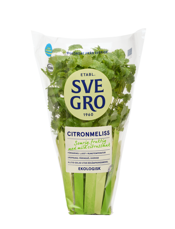 Citronmeliss i kruka från Svegro