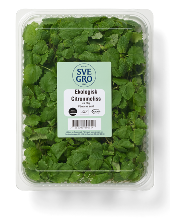 Citronmeliss färsk skuren i förpackning