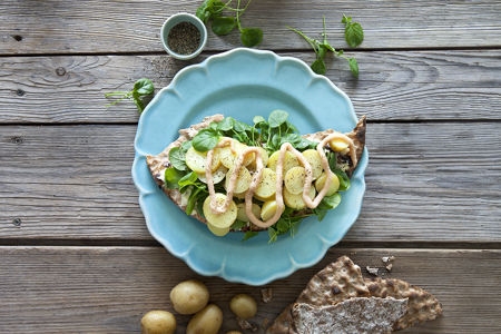 Knäckebröd med kokt potatis och krasse