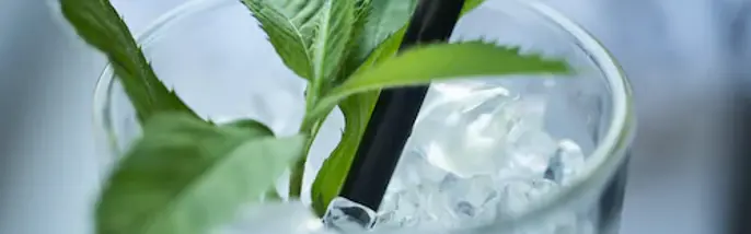 Lemonad med is och citronmeliss