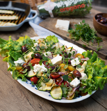 Oregano i sallad