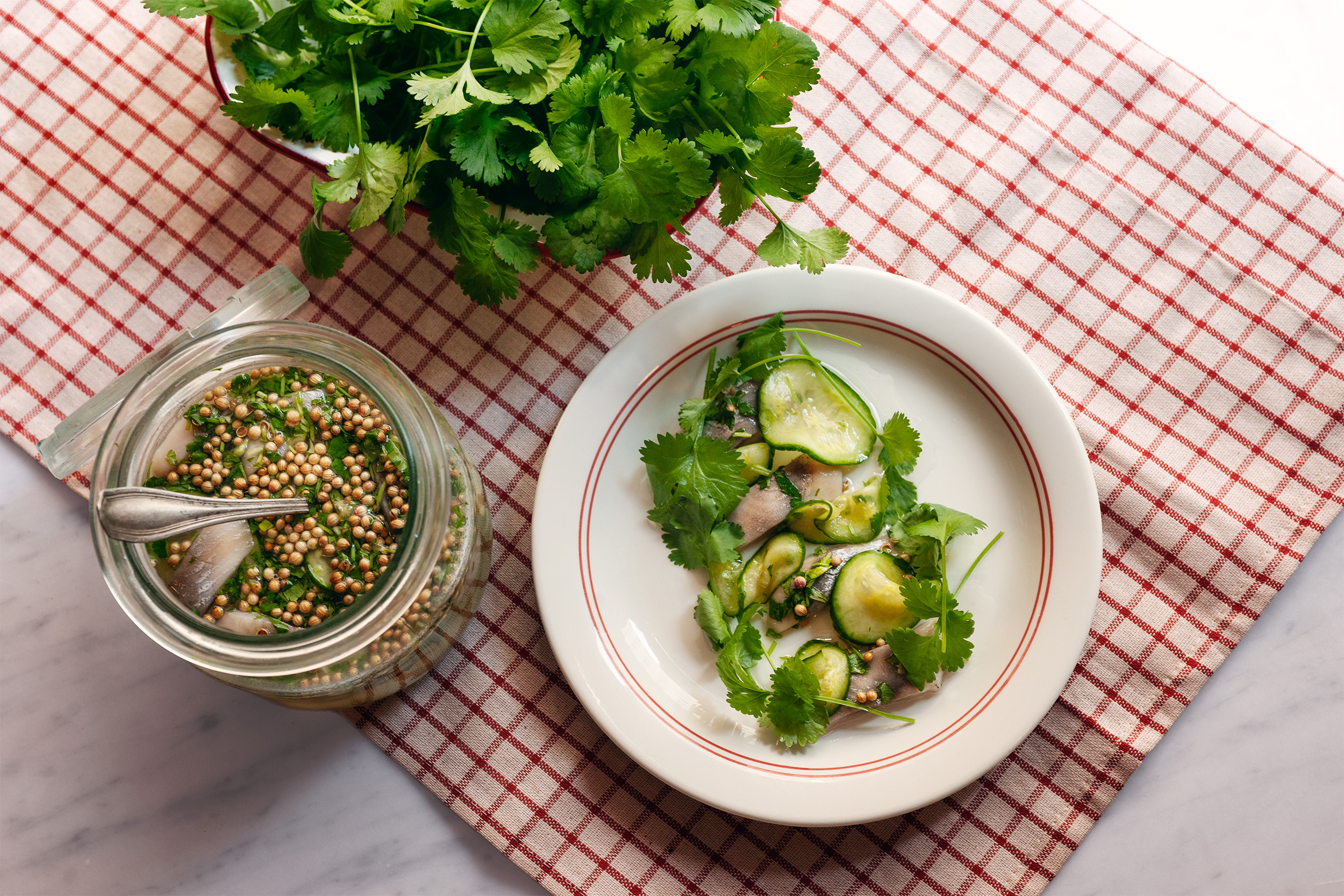 Sill med gin och koriander, korianderfrö